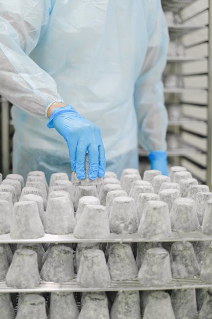 Rilong Top Industrial Work Gloves Brand: Quality, Standards, and Custom Solutions